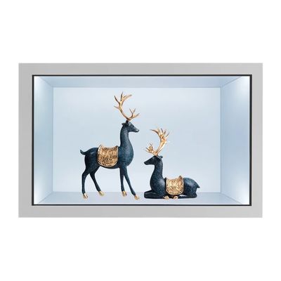 21نمايشگاه LCD شفاف 5 اينچ با صفحه لمسي ظرفشده و کابينت نمايشگر ديجيتالي 2000 نيت